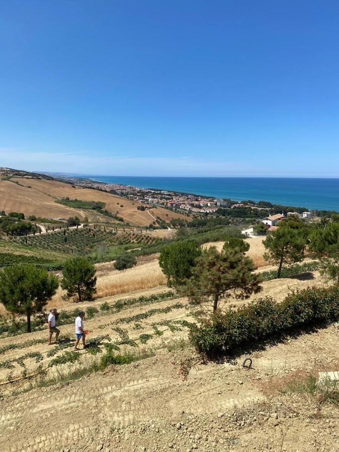 Casale Adriatico B&B Пинето Экстерьер фото